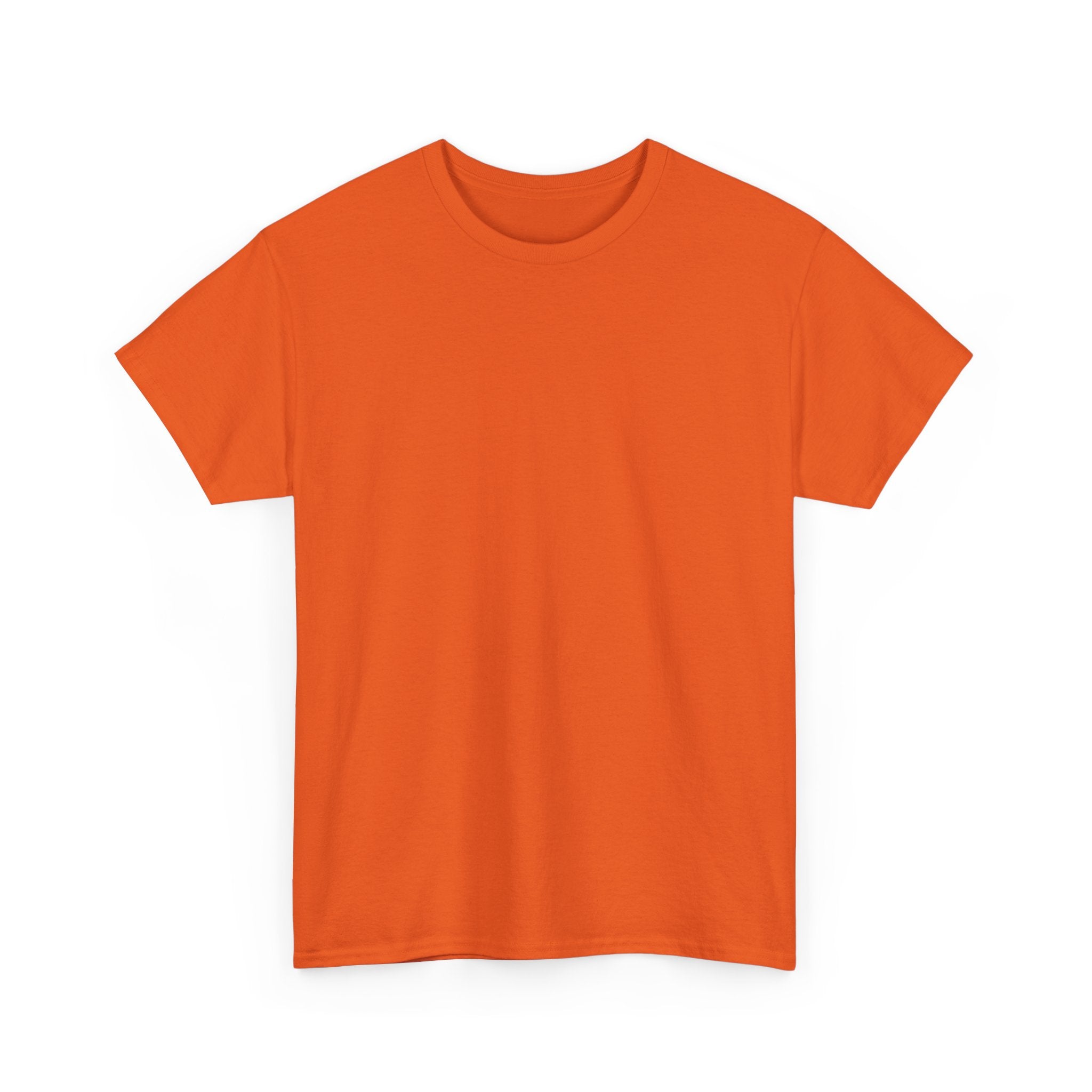 T‑Shirt — “The Light of the World” Graphic Tee (Christian Religious Design)