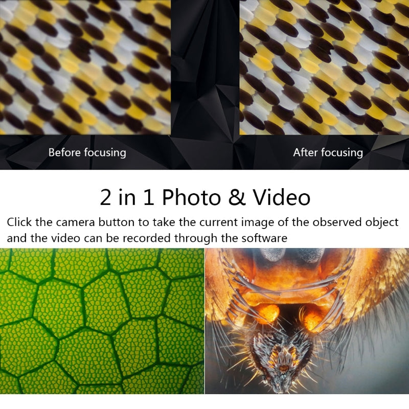 b7ca6489d84688b198a4062d23e0c807