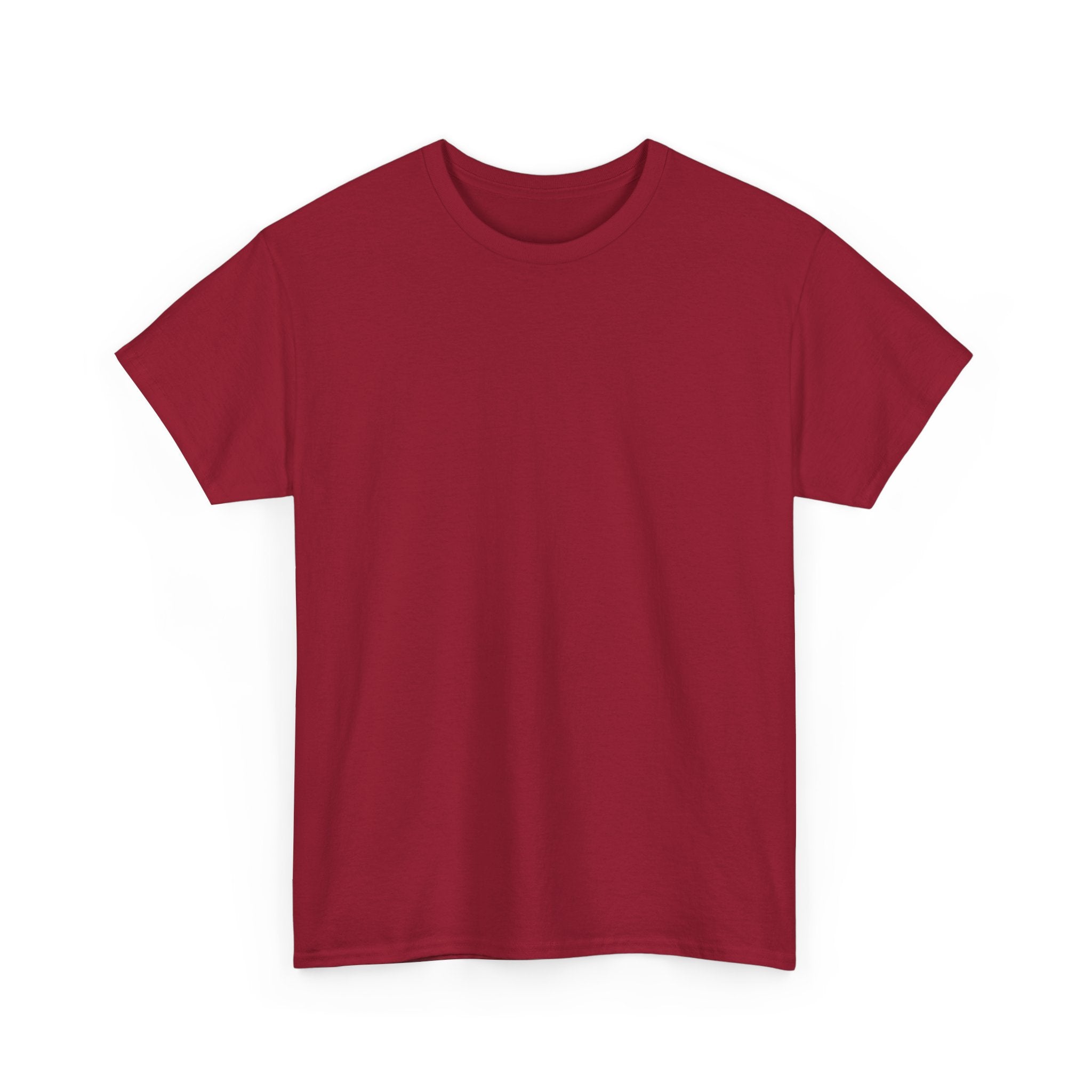 T‑Shirt — “The Light of the World” Graphic Tee (Christian Religious Design)