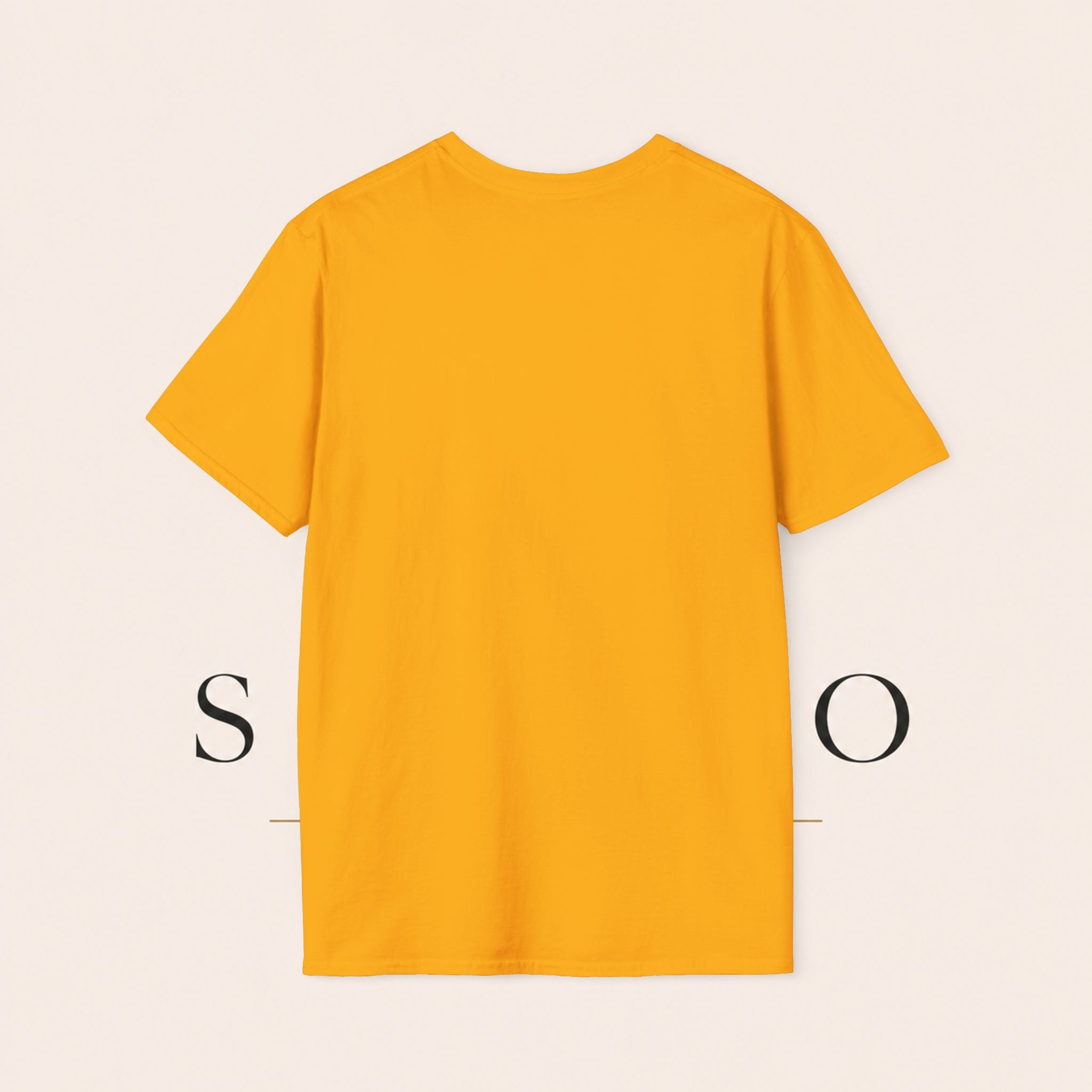 T-Shirt — 'Stay the Course' Ascending Light Mountain Graphic Tee